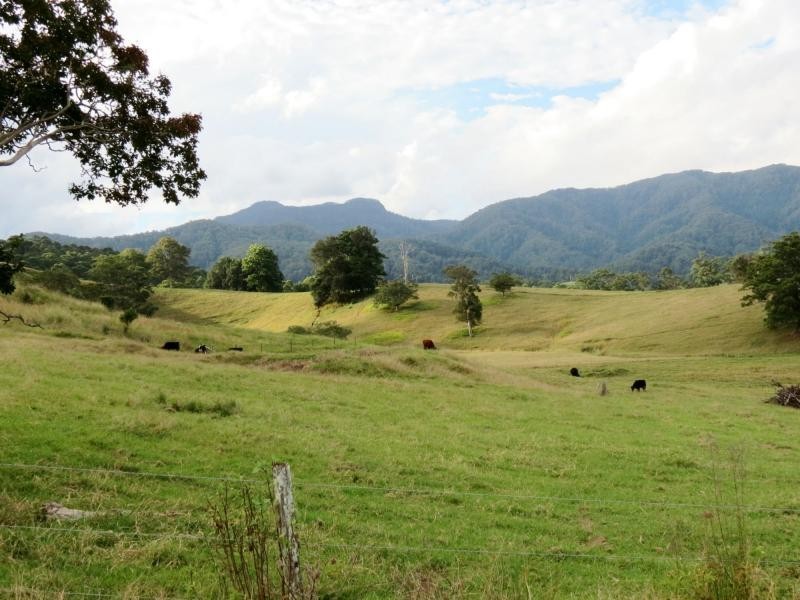 1893 Comboyne Road, Killabakh NSW 2429