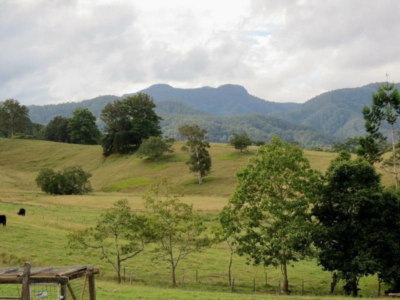 1893 Comboyne Road, Killabakh NSW 2429