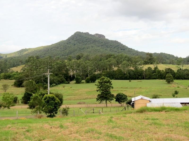 1893 Comboyne Road, Killabakh NSW 2429