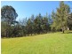 Bundook NSW 2422