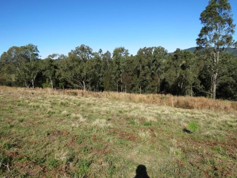 Knorrit Flat NSW 2424