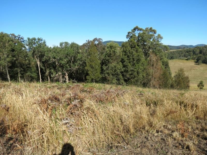 Knorrit Flat NSW 2424