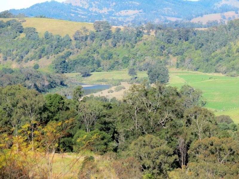 Knorrit Flat NSW 2424