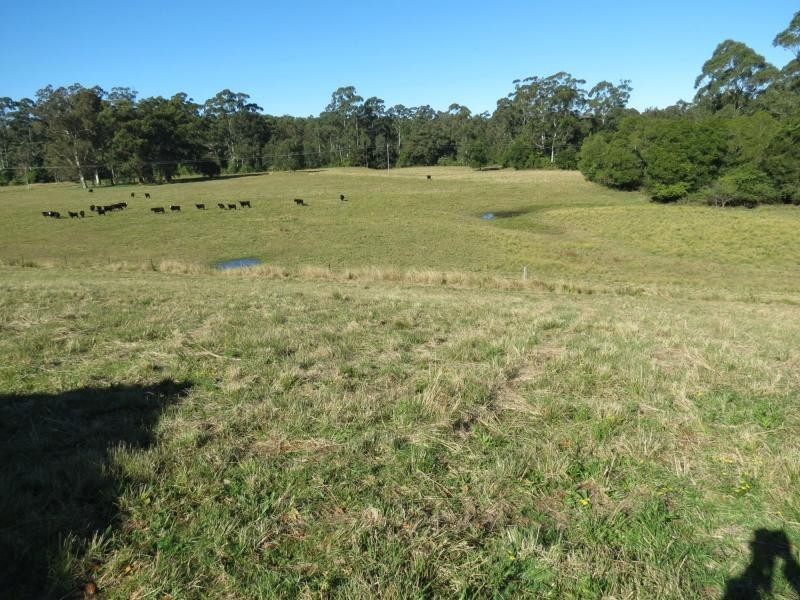 Lot 5 Jack Wards Road, Koorainghat NSW 2430