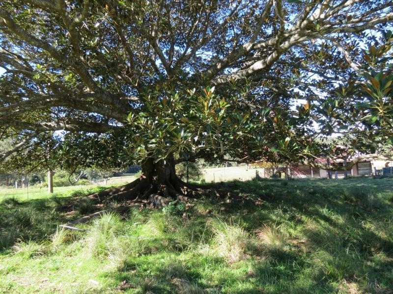 Lot 5 Jack Wards Road, Koorainghat NSW 2430