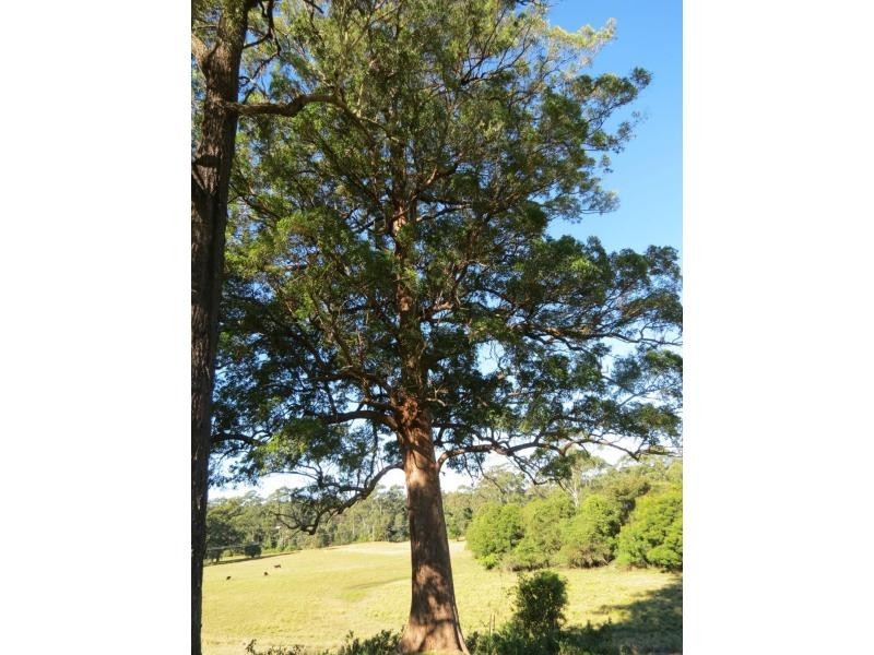 Lot 5 Jack Wards Road, Koorainghat NSW 2430