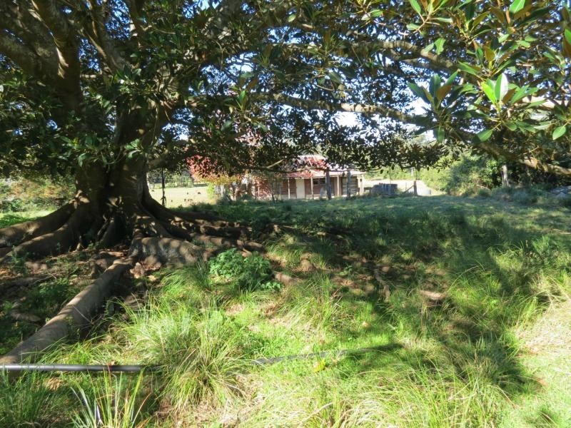 Lot 5 Jack Wards Road, Koorainghat NSW 2430