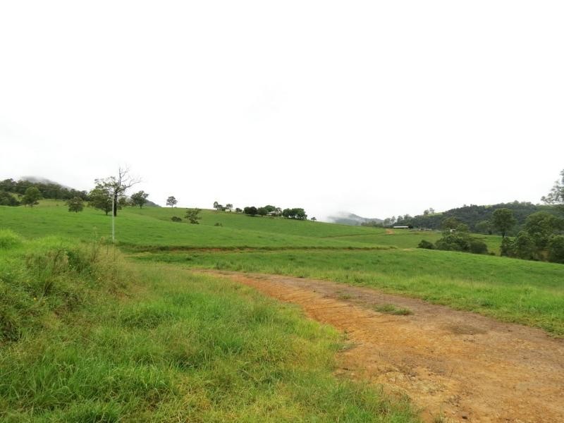 Knorrit Flat NSW 2424