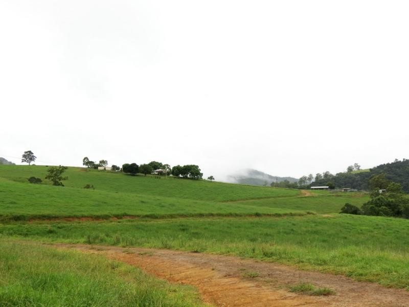 Knorrit Flat NSW 2424