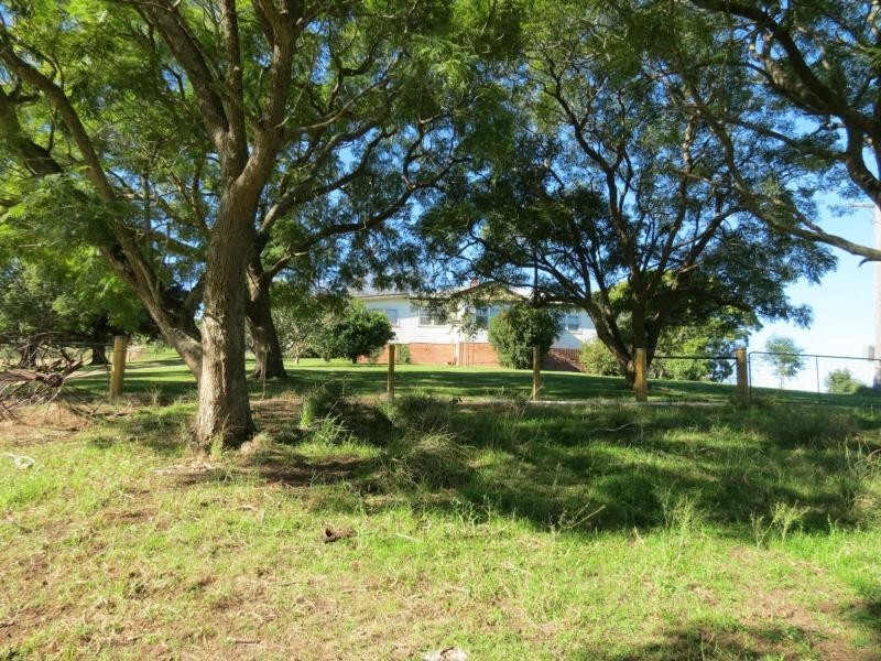 Knorrit Flat NSW 2424