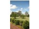 Taree NSW 2430