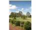 Taree NSW 2430