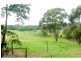 Mitchells Island NSW 2430