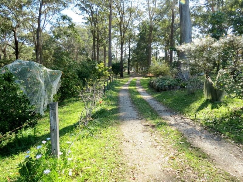 Mitchells Island NSW 2430
