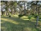 Mitchells Island NSW 2430