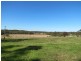 Mitchells Island NSW 2430