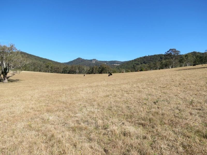 Wherrol Flat NSW 2429