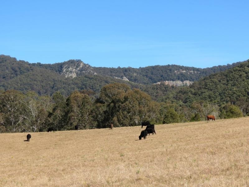 Wherrol Flat NSW 2429