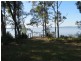 Laurieton NSW 2443