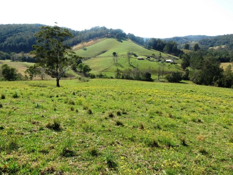 Wherrol Flat NSW 2429