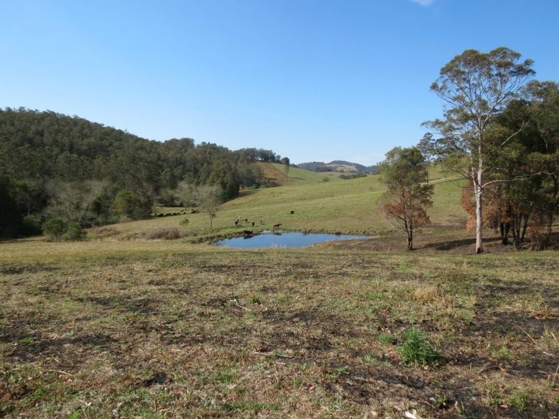 Wherrol Flat NSW 2429