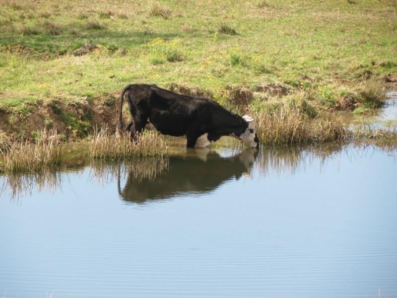 Wherrol Flat NSW 2429