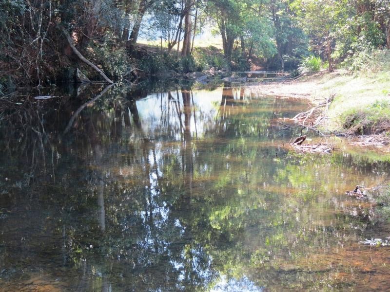 Wherrol Flat NSW 2429