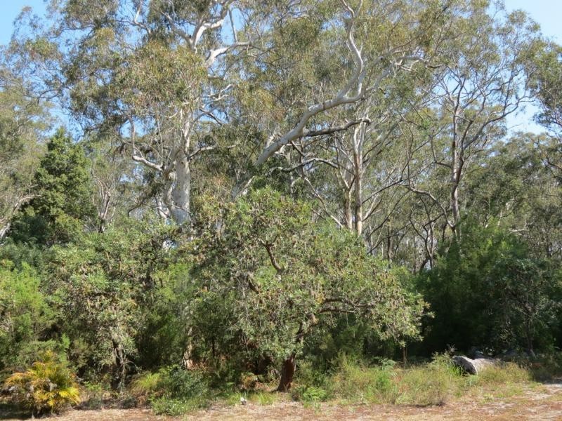Forster NSW 2428