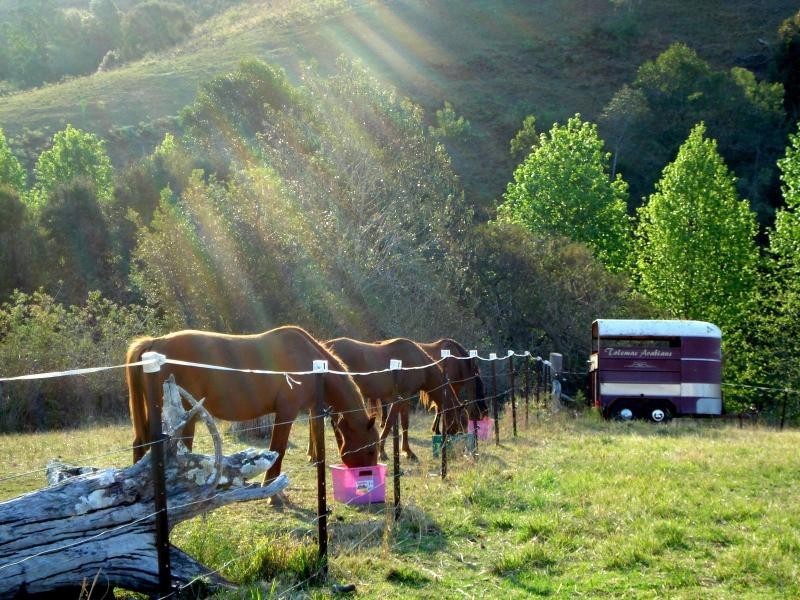 Wherrol Flat NSW 2429