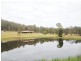 Firefly NSW 2429