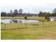 Firefly NSW 2429
