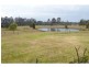 Firefly NSW 2429