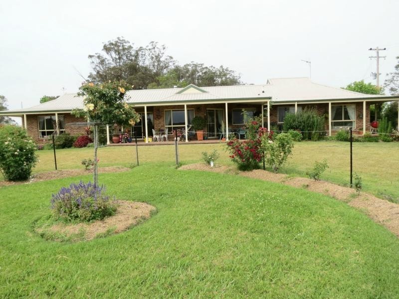 Cedar Party NSW 2429