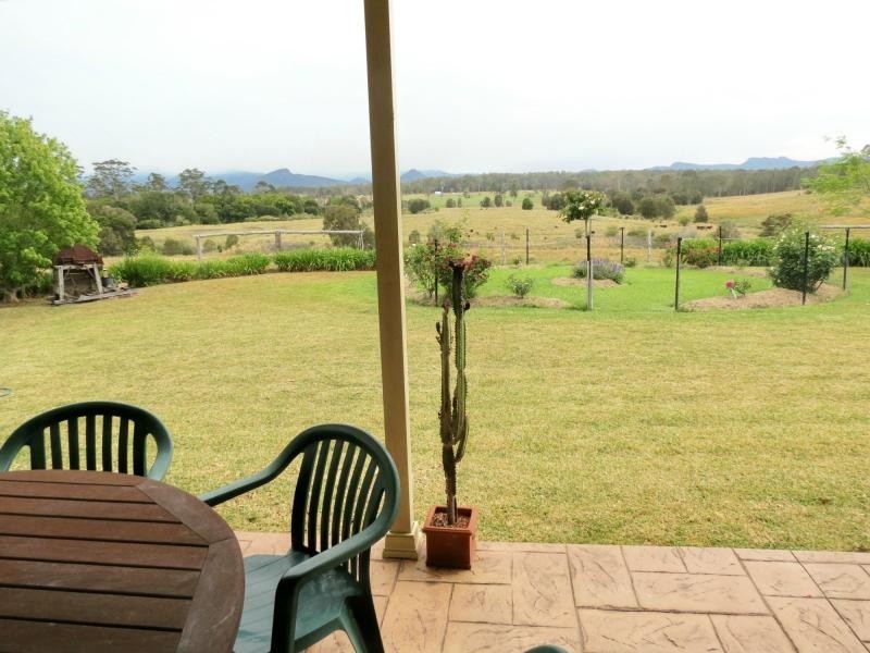 Cedar Party NSW 2429