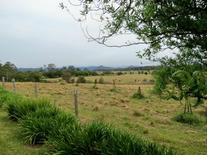 Cedar Party NSW 2429