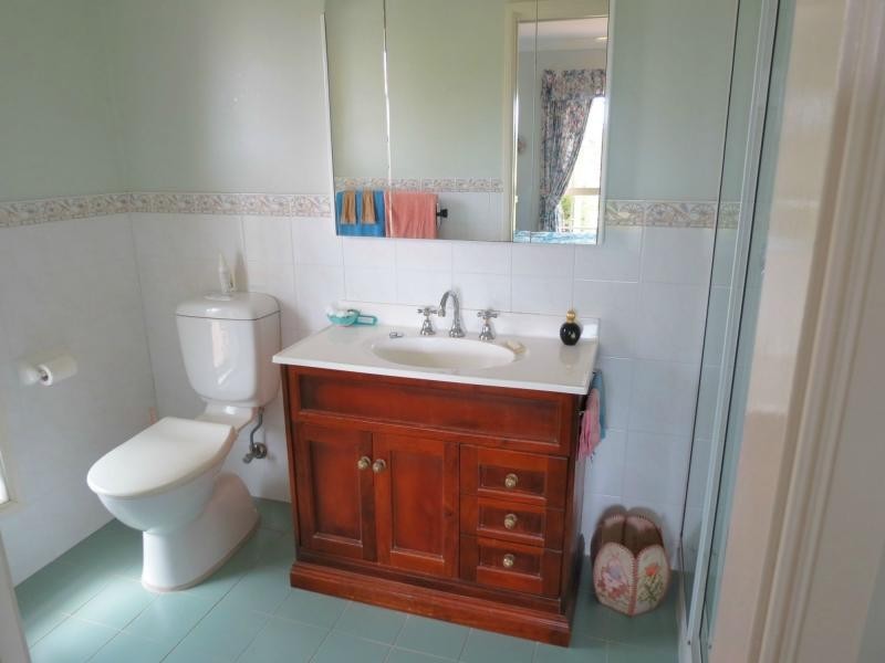 Cedar Party NSW 2429