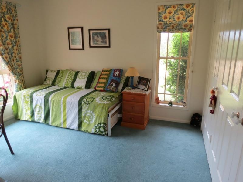 Cedar Party NSW 2429