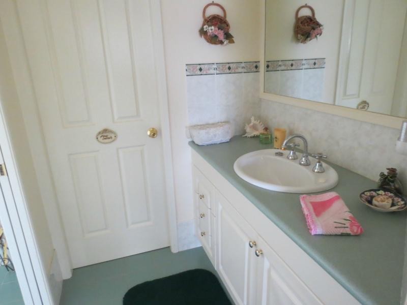 Cedar Party NSW 2429