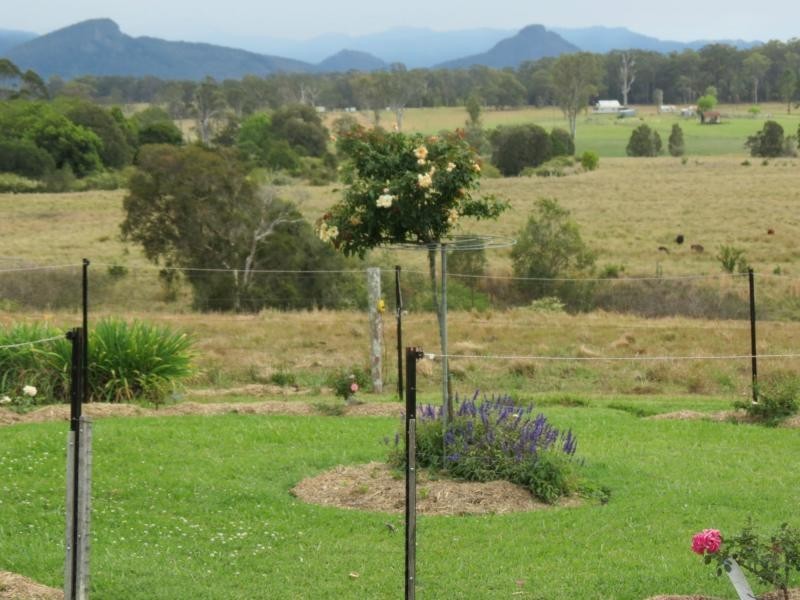 Cedar Party NSW 2429