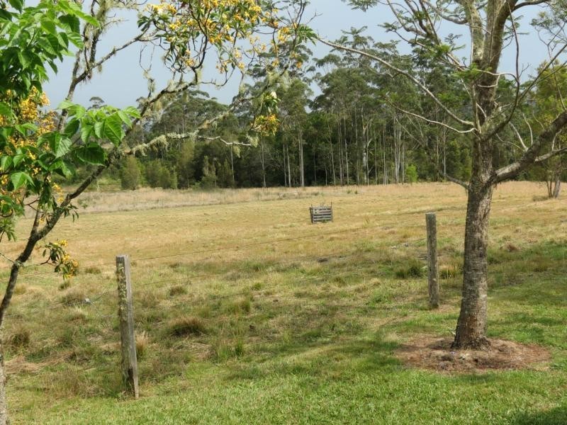 Cedar Party NSW 2429