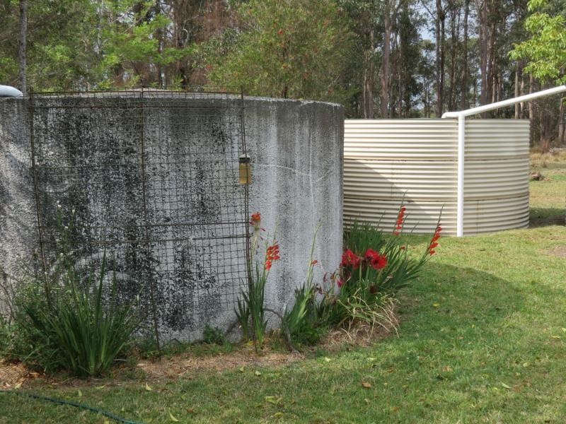 Cedar Party NSW 2429