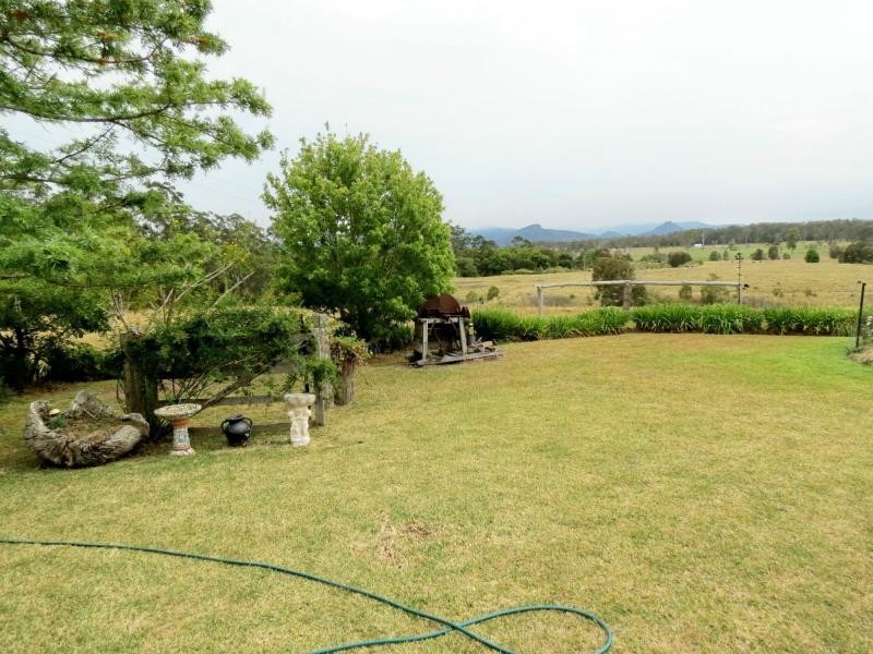 Cedar Party NSW 2429