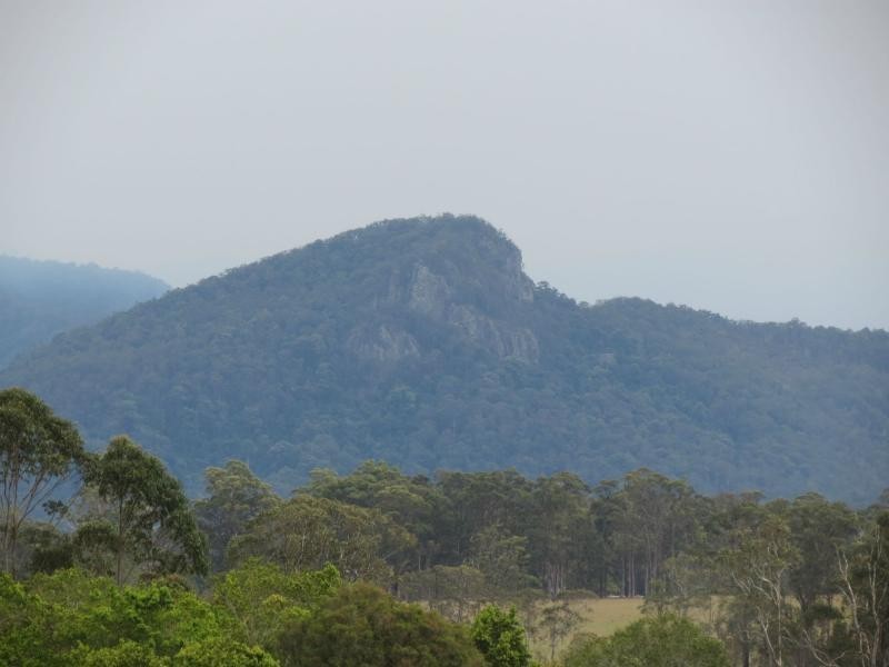 Cedar Party NSW 2429