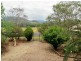 Wherrol Flat NSW 2429