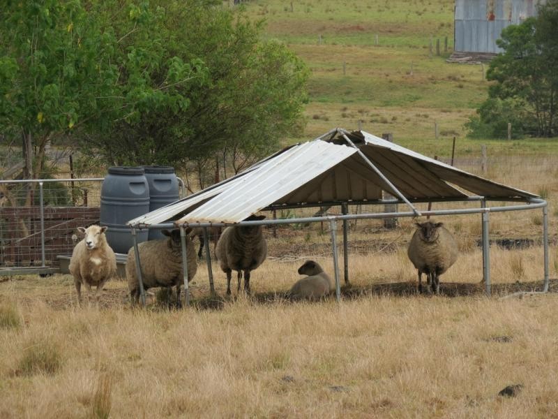 Wherrol Flat NSW 2429