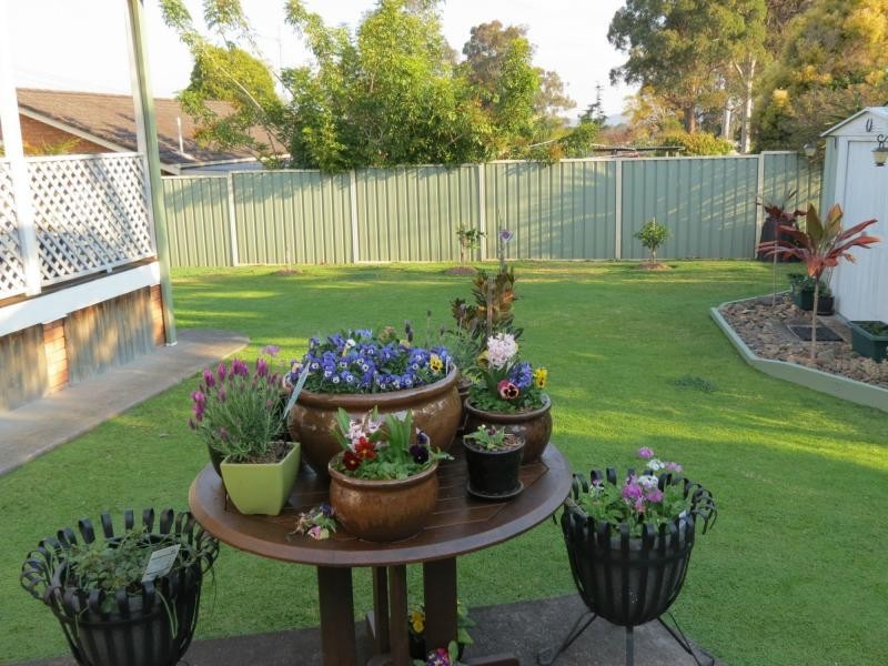 Taree NSW 2430