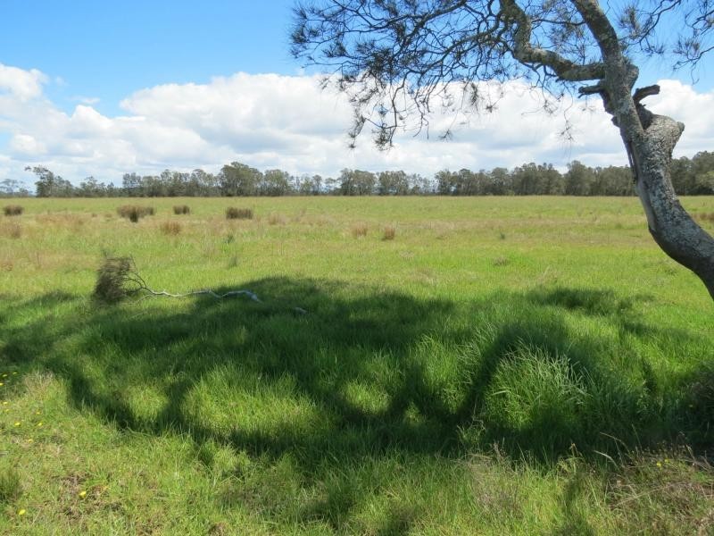 Oxley Island NSW 2430