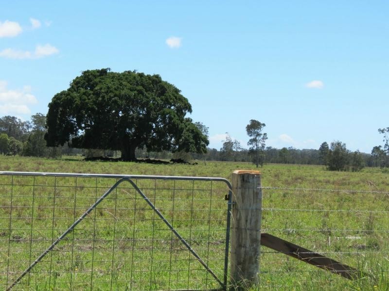 Oxley Island NSW 2430
