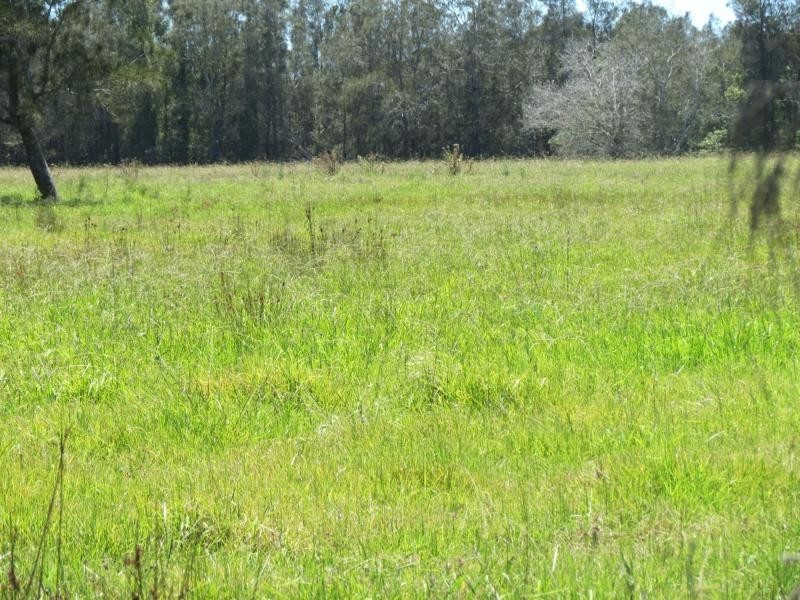 Oxley Island NSW 2430