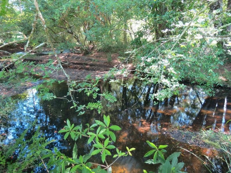 Upper Lansdowne NSW 2430